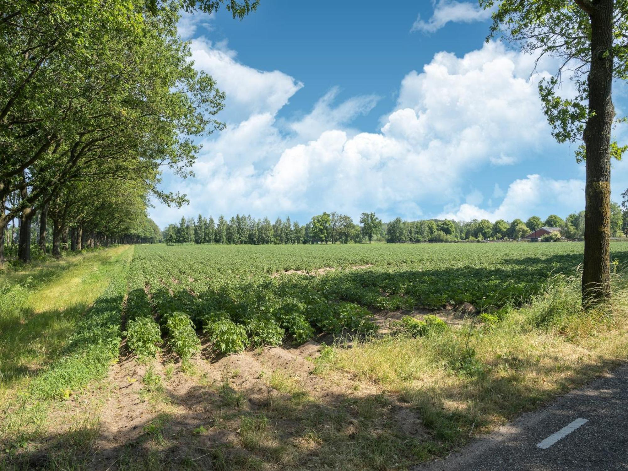 House With A Large Garden In Achterhoek Eibergen Luaran gambar
